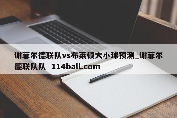 谢菲尔德联队vs布莱顿大小球预测_谢菲尔德联队队  114ball.com